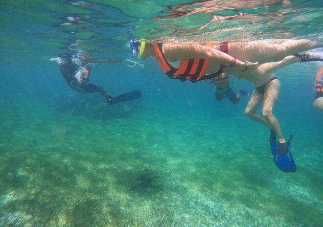 Puerto Morelos: Reef Snorkeling Tour, Snack and Transport - Health and Safety Information