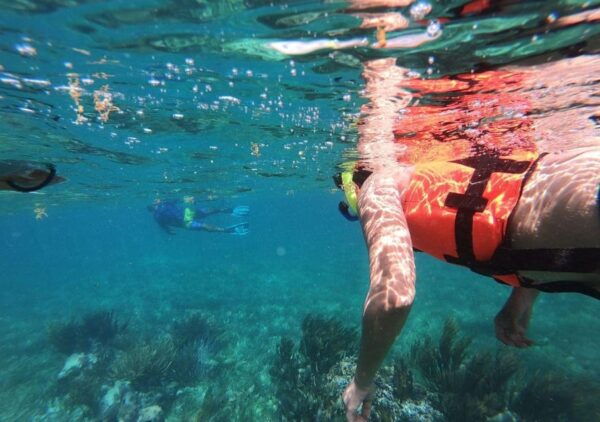 Puerto Morelos: Reef Snorkeling Tour, Snack and Transport - Frequently Asked Questions