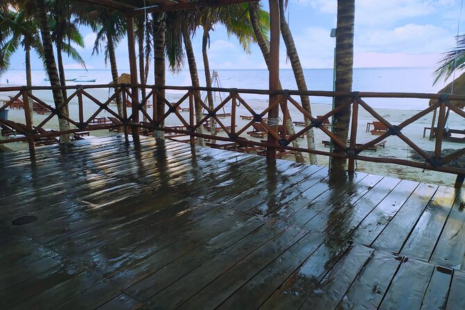 Puerto Morelos Salsa or Bachata Dance Lesson From Puerto Morelos - Viator: A Trusted Operator