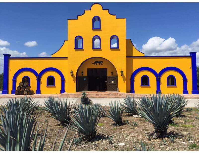 Puerto Morelos: Shopping Tour & Cenote Kin Ha - Summary & Who Will Love This Tour