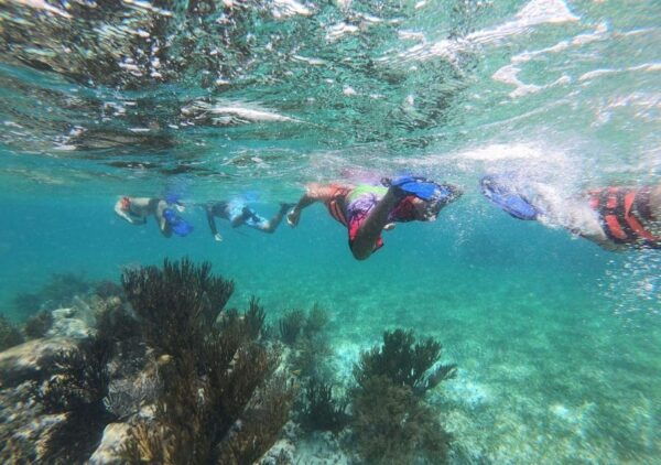 Puerto Morelos: Snorkel in Coral Reef and Visit the Town - Frequently Asked Questions