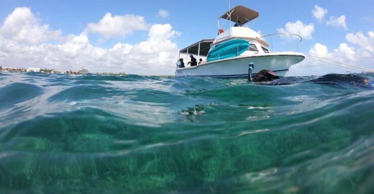 Puerto Morelos: Snorkel in Coral Reef and Visit the Town - Good To Know