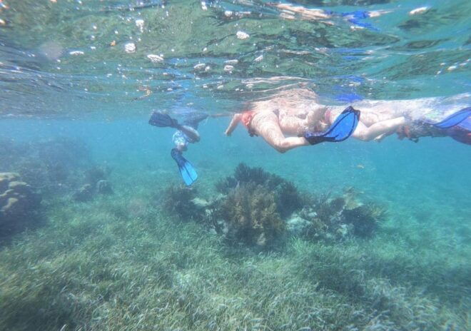 Puerto Morelos: Snorkel in Coral Reef and Visit the Town - Snorkeling Adventure