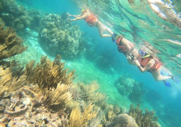 Puerto Morelos: Snorkel in Coral Reef and Visit the Town - Frequently Asked Questions