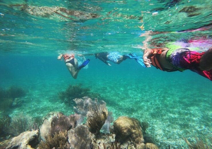 Puerto Morelos: Snorkel in Coral Reef With Transportation - Good To Know