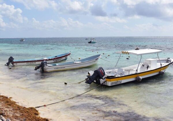 Puerto Morelos: Snorkel in Coral Reef With Transportation - Additional Information