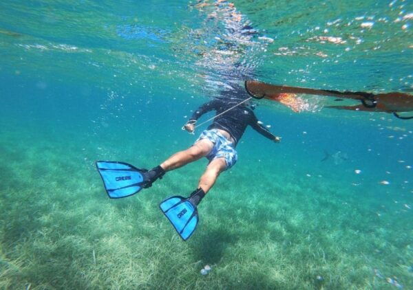 Puerto Morelos: Snorkel Tour in Reef With Transportation - Meeting Point and Schedule
