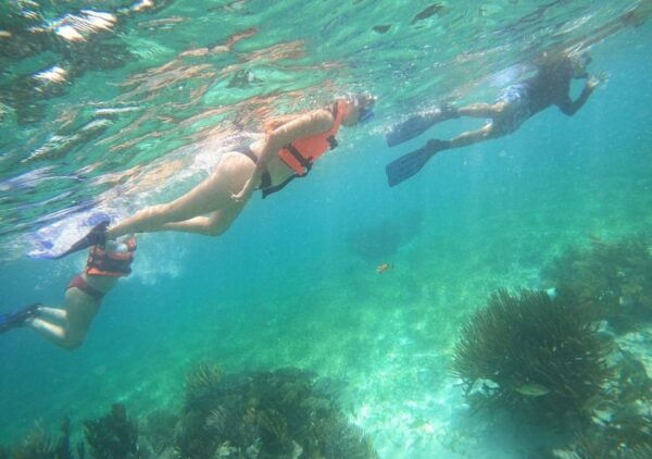 Puerto Morelos: Snorkel Tour in Reef With Transportation - What to Bring