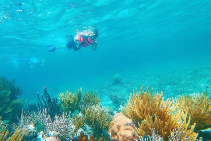 Puerto Morelos: Snorkel Trip With Lunch - Activity Duration and Logistics