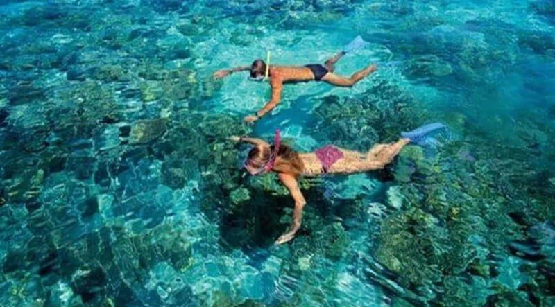 Puerto Morelos: Snorkeling at The National Reef Park - Good To Know