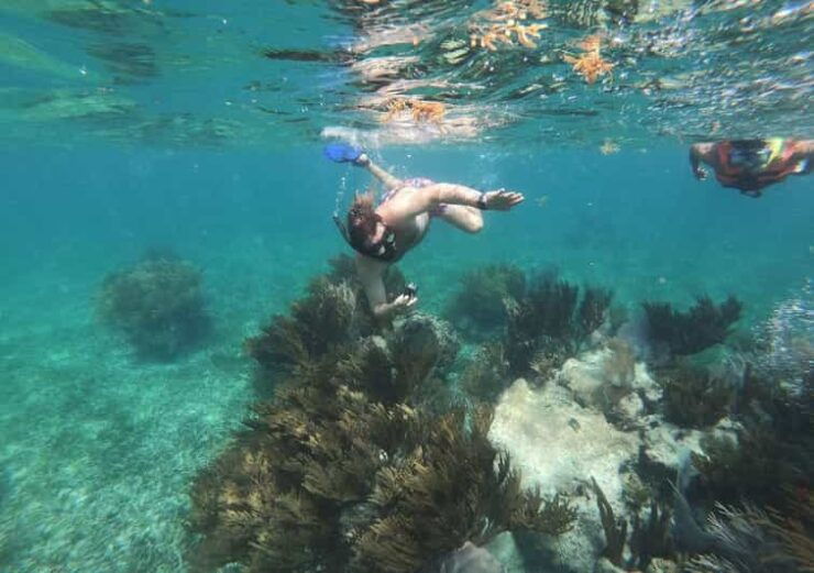 Puerto Morelos: Snorkeling Experience With Snack & Transport - Snorkeling at the Coral Reef