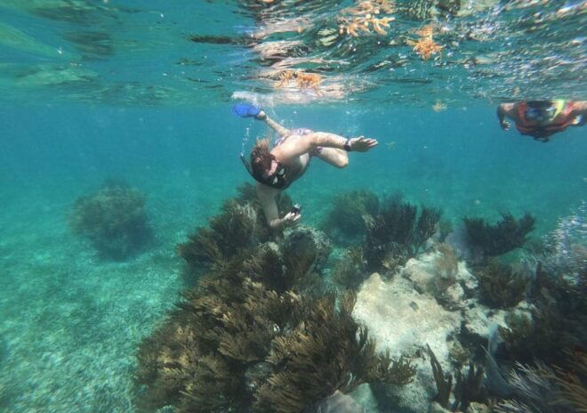 Puerto Morelos: Snorkeling Experience With Snack & Transport - Transportation and Meeting Point