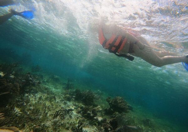 Puerto Morelos: Snorkeling Experience With Snack & Transport - Safety and Guidance