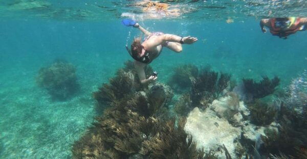 Puerto Morelos: Snorkeling Experience With Snack & Transport - Booking and Cancellation