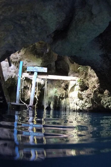 Puerto Morelos: Snorkeling In Cenotes - Meeting Point and Directions