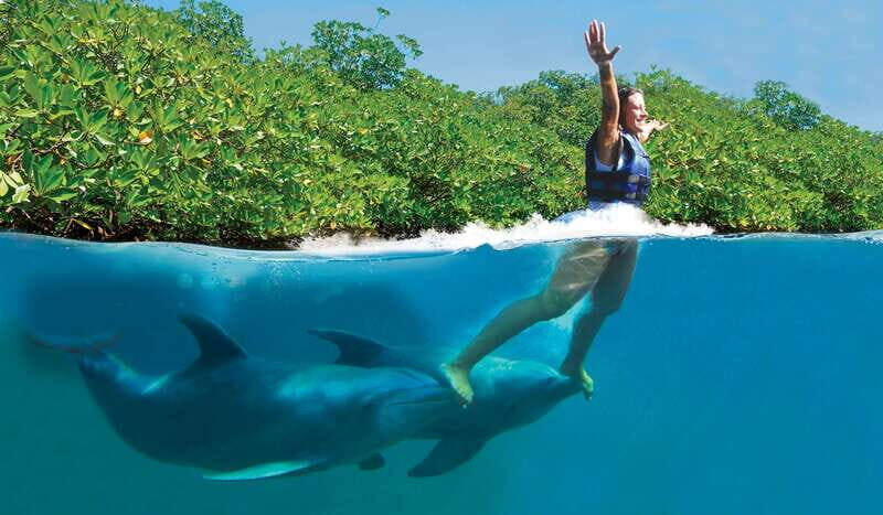 Puerto Morelos: Swim with dolphins Primax - A Closer Look at the Puerto Morelos Dolphin Experience