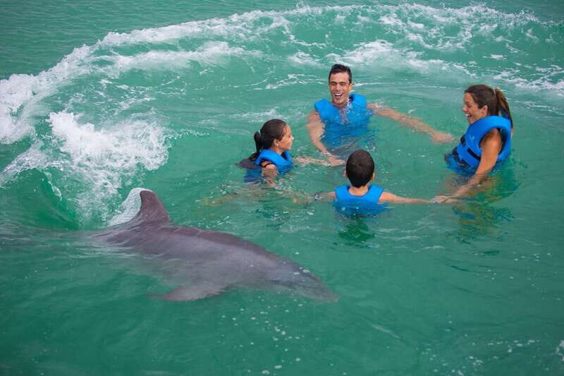 Puerto Morelos: Swim with dolphins Primax - The Sum Up