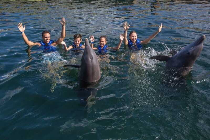 Puerto Morelos: Swim with Dolphins - Who Will Love This Tour?