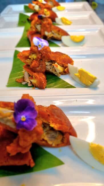 Puerto Morelos: Tequila University Gourmet Experience - Good To Know  