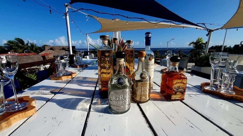 Puerto Morelos: Tequila University Gourmet Experience - Exploring the Tour Itinerary