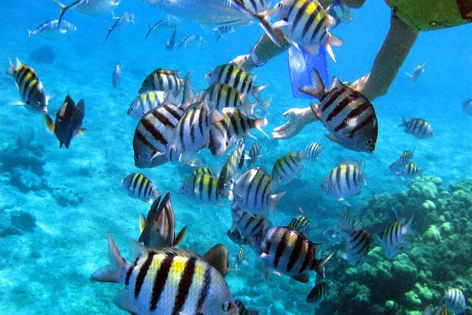 Puerto Morelos Two Reefs Snorkeling Tour - Cancellation Policy