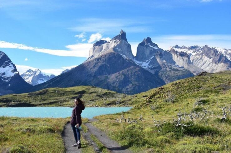 Puerto Natales: Full Day Torres Del Paine Milodon Cave - Tour Highlights and Itinerary