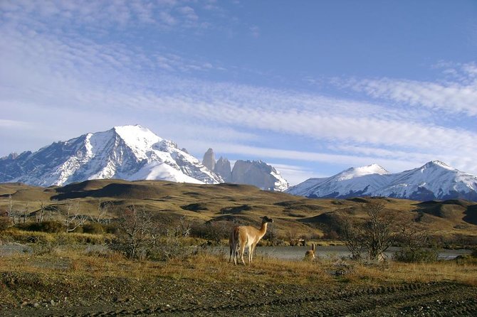 Puerto Natales: Full Day Tour Torres Del Paine - Booking Process and Details