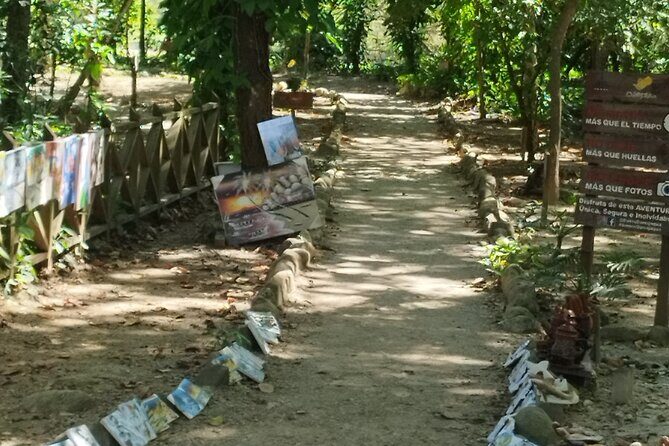 Puerto plata Ambar cove ,Taino bey para la Playa de Sosua 6 hora - Possible Drawbacks or Considerations