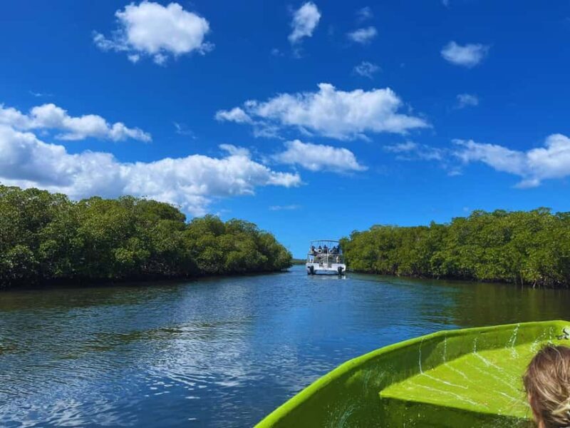 Puerto Plata: Amber cove and Taino Bay guided tour - The Sum Up