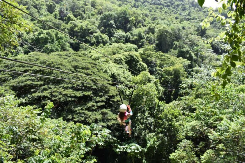 Puerto Plata/Amber Cove: Zipline and Waterfalls with Lunch - Puerto Plata/Amber Cove: Zipline and Waterfalls with Lunch – A Complete Guide