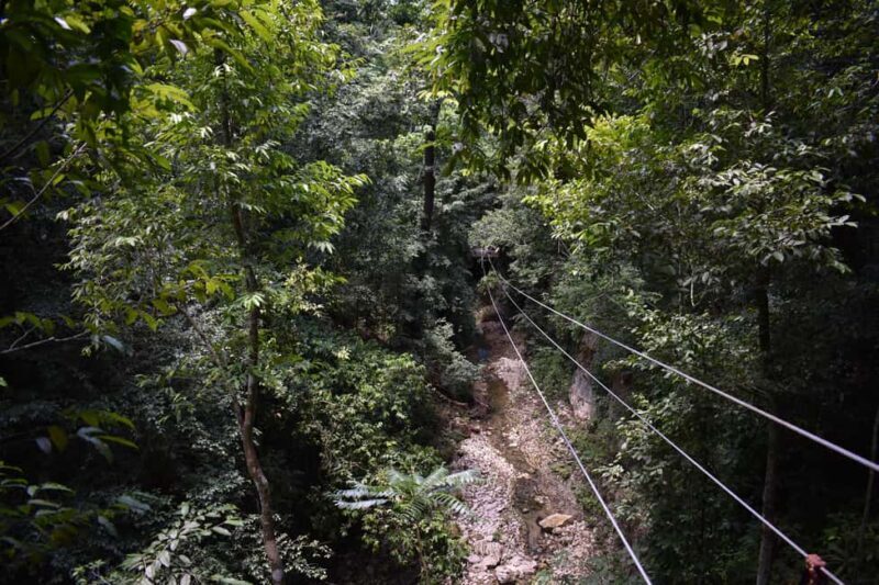 Puerto Plata/Amber Cove: Zipline and Waterfalls with Lunch - What Makes This Tour Stand Out?