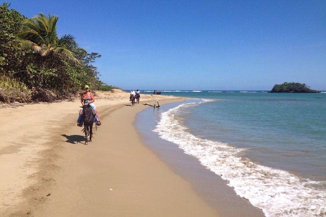Puerto Plata: Beach Half Day Horseback Riding - Tour Inclusions