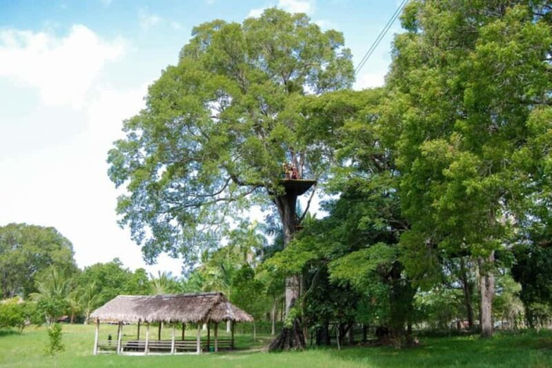 Puerto Plata: Buggy and Zipline Experience - Why Choose This Tour?