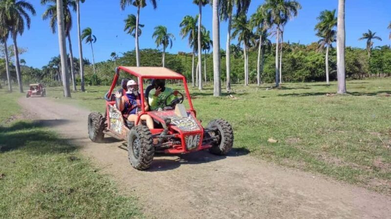 Puerto Plata: Buggy Tour with Cigar Factory & Beach Stop - The Practical Details