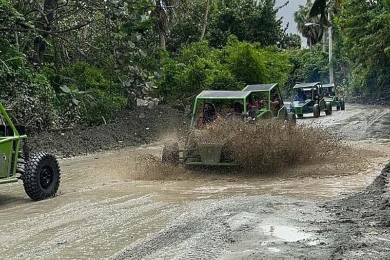 Puerto Plata: Buggy, Waterfalls, Zipline & Lunch Tour - An In-Depth Look at the Puerto Plata Adventure