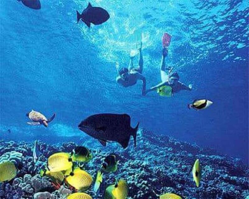 Puerto Plata: Cayo Arena Tour with Snorkeling and Mangroves - What is the Puerto Plata: Cayo Arena Tour?