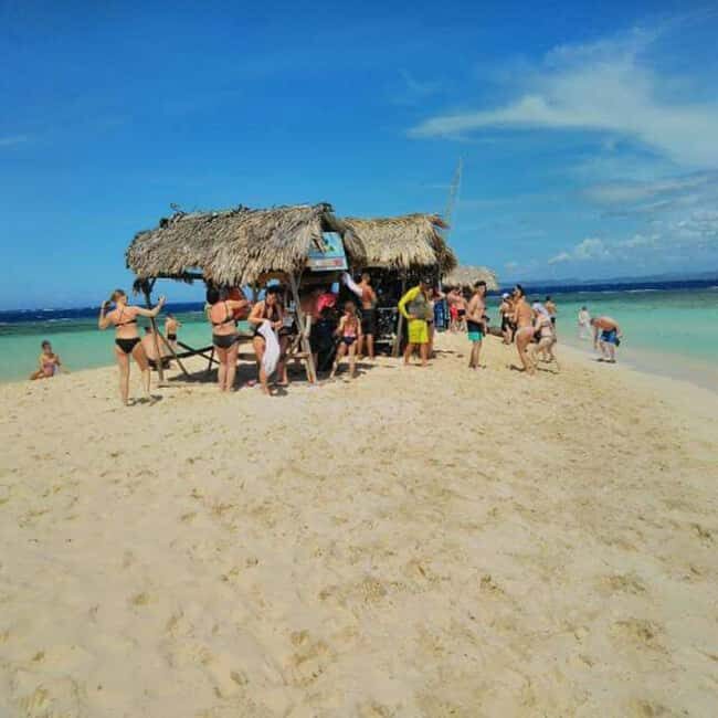 Puerto Plata: Cayo Arena Tour with Snorkeling and Mangroves - Exploring the Mangroves: A Lush Ecosystem