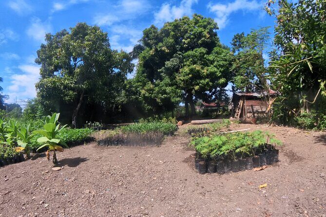 Puerto plata city tour and beach - FAQ