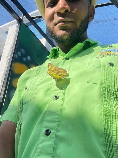 Puerto Plata: City Tour with Butterfly Garden - Practical Tips for Travelers