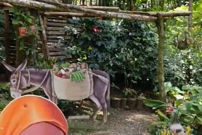 Puerto Plata City Tour with Lunch, Mountain and Factory Visits - A Closer Look at the Puerto Plata City Tour