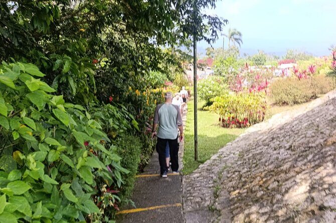 Puerto Plata City Tour with Lunch, Mountain and Factory Visits - Authentic Experiences from the Travelers’ Perspective