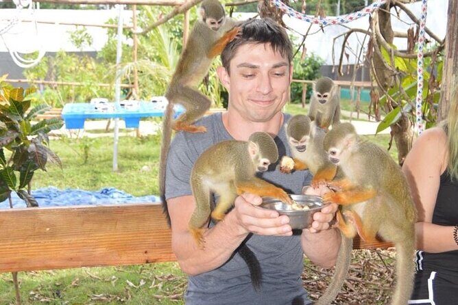 Puerto Plata City Tour with Monkeys - Good To Know