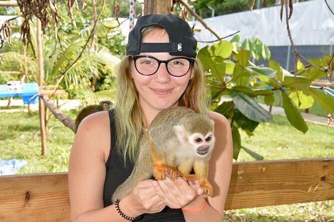 Puerto Plata City Tour with Monkeys - A Closer Look at the Itinerary