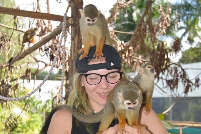 Puerto Plata City Tour with Monkeys - Pricing and Value