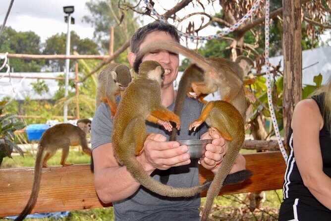 Puerto Plata City Tour with Monkeys - The Sum Up