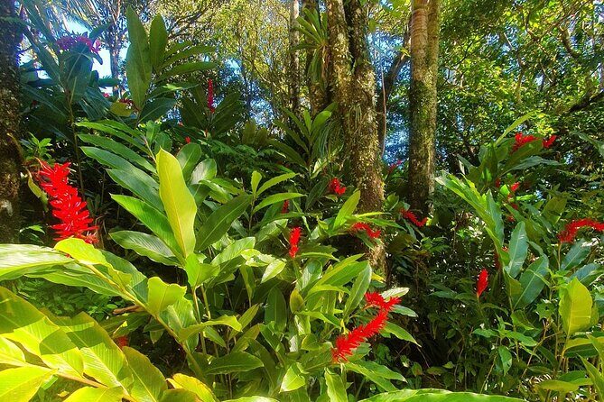 Puerto Plata City Tour with the Mount Isabel, Rum & Chocolate - An In-depth Look at the Puerto Plata City Tour