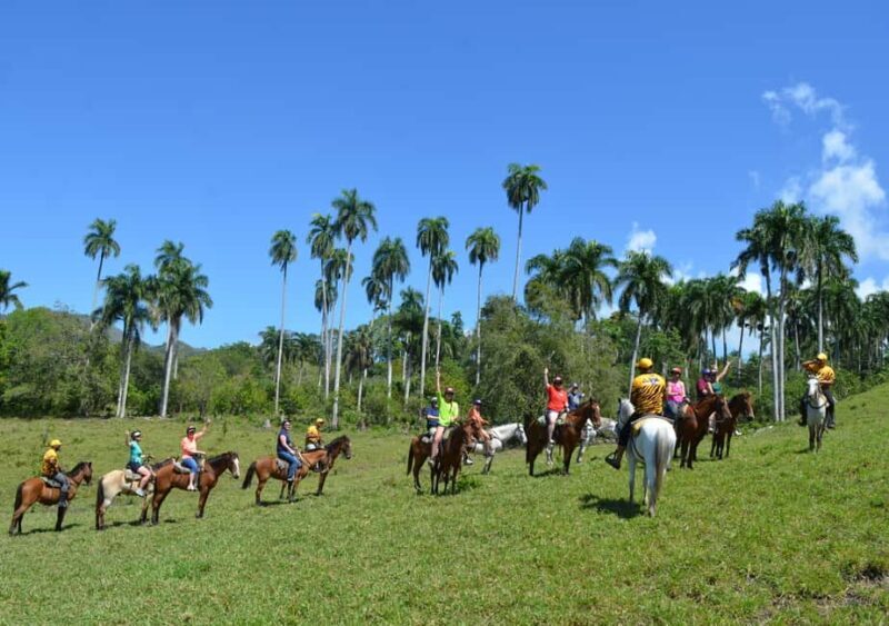 Puerto Plata Combo Experience: Zip-line + Horseback Riding - Why This Tour Works Well