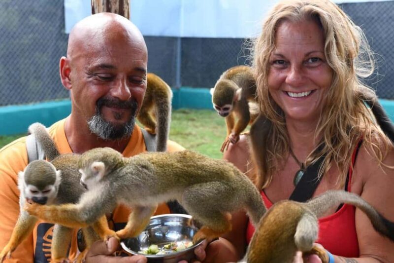 Puerto Plata: Cultural Tour & Ethical Monkey Observation - Exploring the Cultural & Wildlife Highlights of Puerto Plata