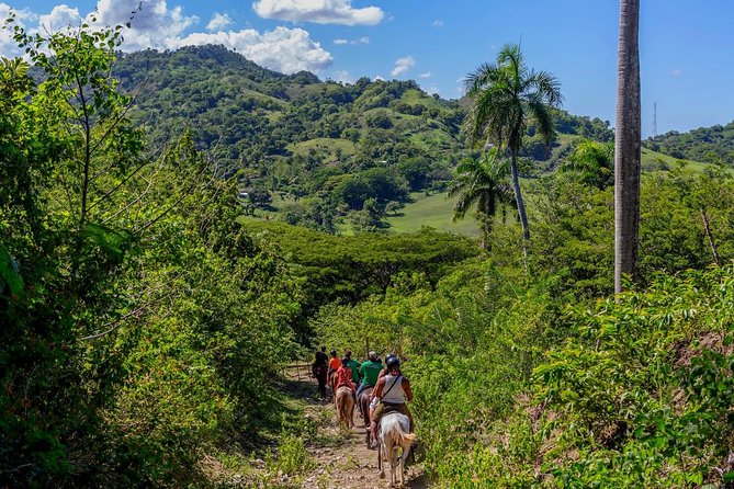 Puerto Plata: Damajagua Waterfalls Safari Buggy Horseback Riding (Top3in1) - Inclusions and Services