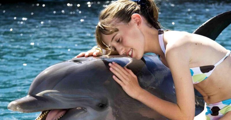 Puerto Plata: Dolphin Encounter at Ocean World - Who Will Love This Tour?